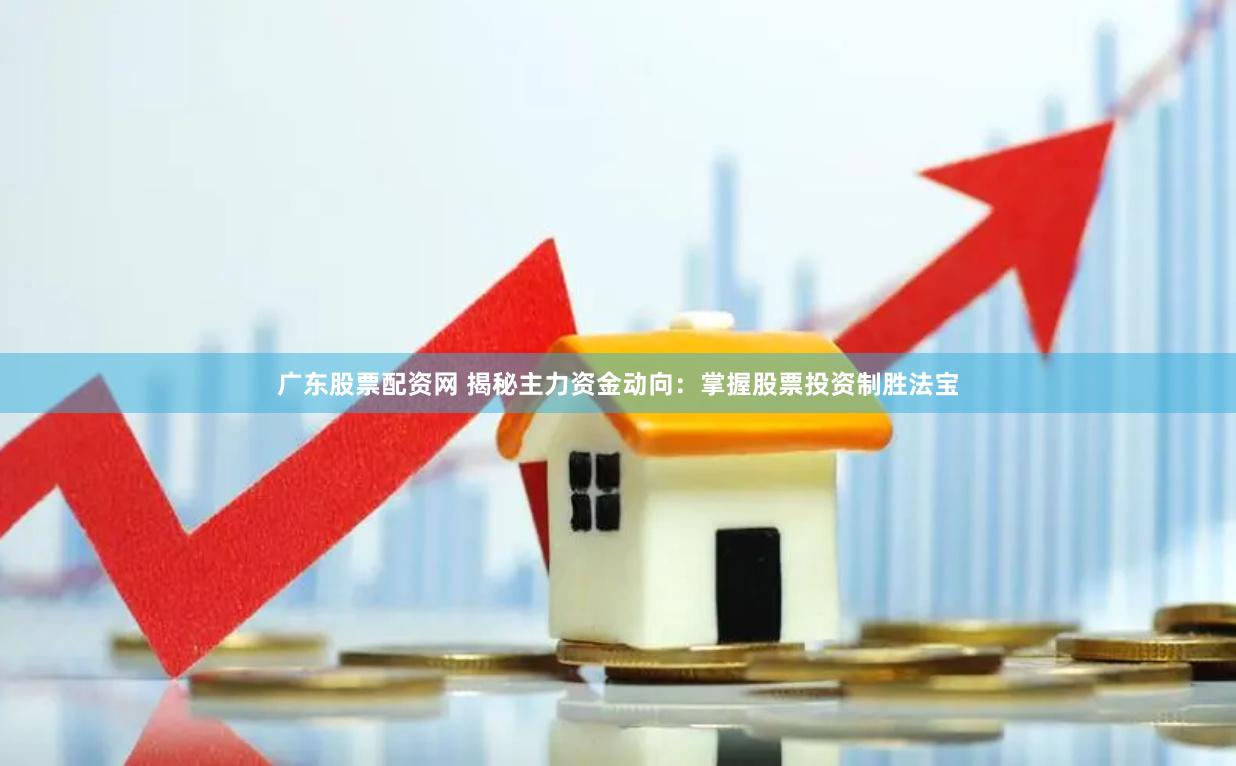 广东股票配资网 揭秘主力资金动向：掌握股票投资制胜法宝